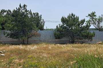 Ведение садоводства, 6 сот.