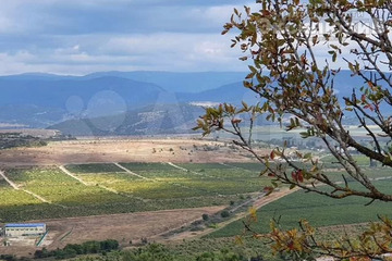 Ведение садоводства, 7,3 сот.